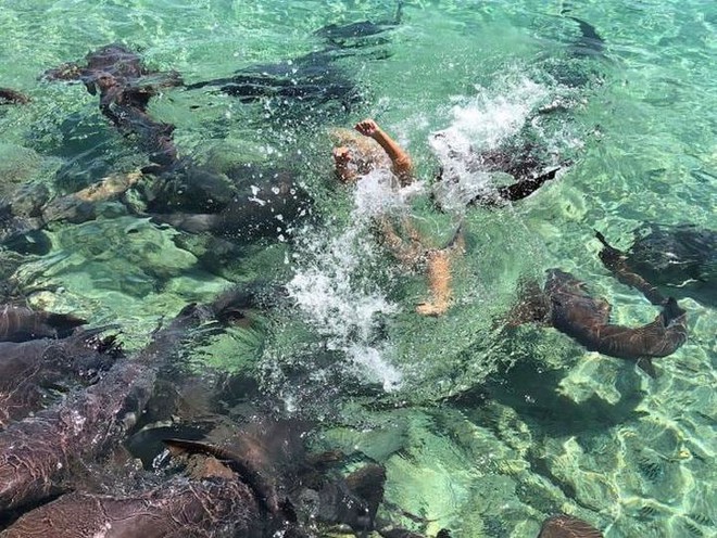 Người mẫu Instagram với hơn 30 ngàn follow đang chụp hình thả dáng trên biển thì bị cá mập tấn công - Ảnh 3.