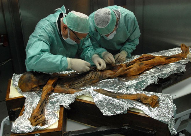 Xác ướp 5.300 năm tuổi trong băng tiết lộ chế độ ăn khoa học của người cổ đại - Ảnh 2.