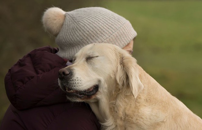 Ảnh chó đẹp nhất năm 2018: Tôn vinh bạn tốt nhất của con người qua những thước phim đầy cảm xúc - Ảnh 6.