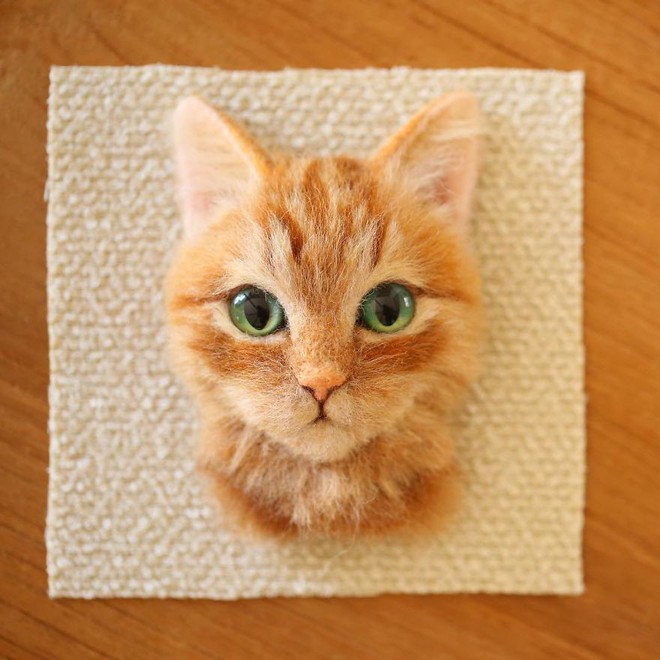 Nghệ sĩ Nhật Bản khiến cư dân mạng trầm trồ vì khả năng tạo hình mèo 3D từ len giống y như mèo thật - Ảnh 4.