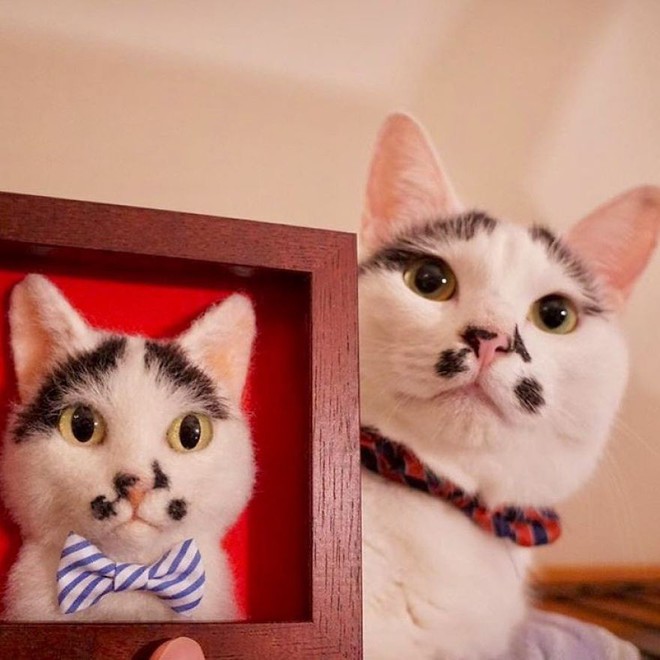 Nghệ sĩ Nhật Bản khiến cư dân mạng trầm trồ vì khả năng tạo hình mèo 3D từ len giống y như mèo thật - Ảnh 5.