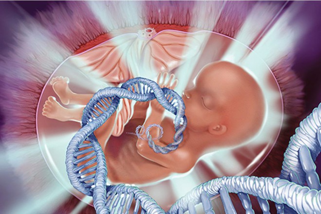 Liệu pháp gen chữa khỏi bệnh bẩm sinh từ giai đoạn bào thai trên chuột, 10 năm nữa có thể ứng dụng trên người - Ảnh 3.