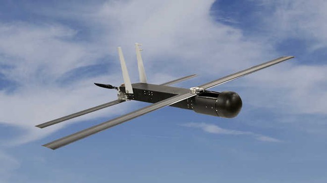 Quân đội Mỹ đặt mua UAV cảm tử chuyên để đi săn các loại UAV khác - Ảnh 1.