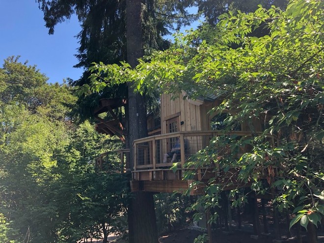 Chiêm ngưỡng ngôi nhà trên cây mà Microsoft làm cho nhân viên: Gặp gỡ, làm việc hay tắm nắng đều được - Ảnh 15.