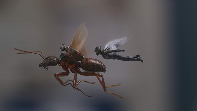 “Ant-Man and the Wasp”: Khi mỹ nhân ra tay cứu anh hùng trong cuộc chiến vắng bóng kẻ ác - Ảnh 3.