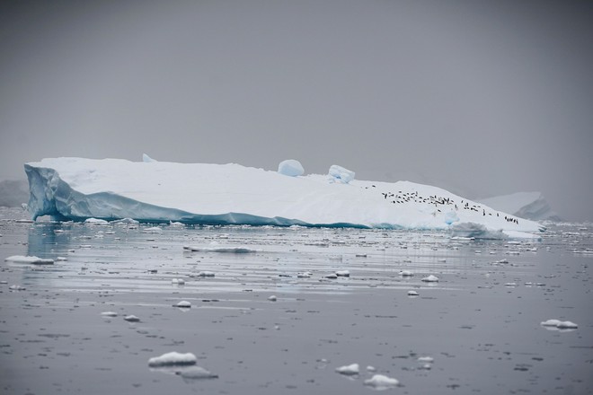 Ý tưởng điên rồ: Ship tảng băng khổng lồ từ Nam Cực về để giải quyết khủng hoảng nước ngọt tại Cape Town - Ảnh 1.