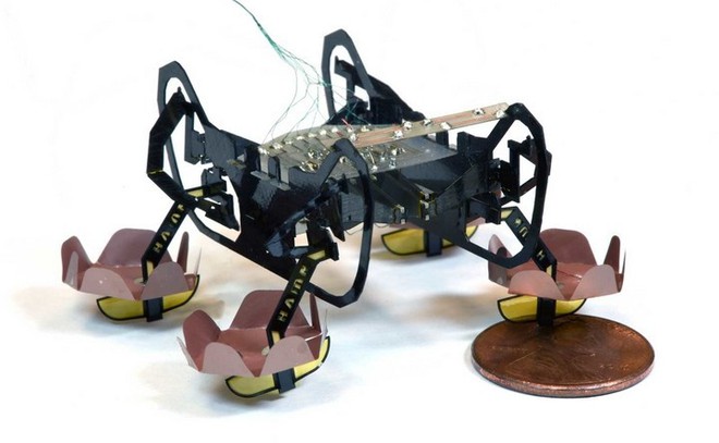 Harvard phát triển thành công robot đổ bộ siêu nhỏ có thể bơi lội, đi bộ dưới nước và lên bờ thành thạo - Ảnh 1.