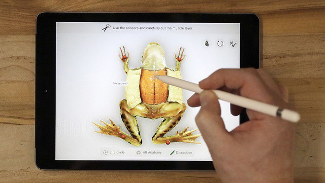 Surface Go giá mềm chính là câu trả lời thích đáng của Microsoft dành cho chiếc iPad 9.7 inch của Apple - Ảnh 1.