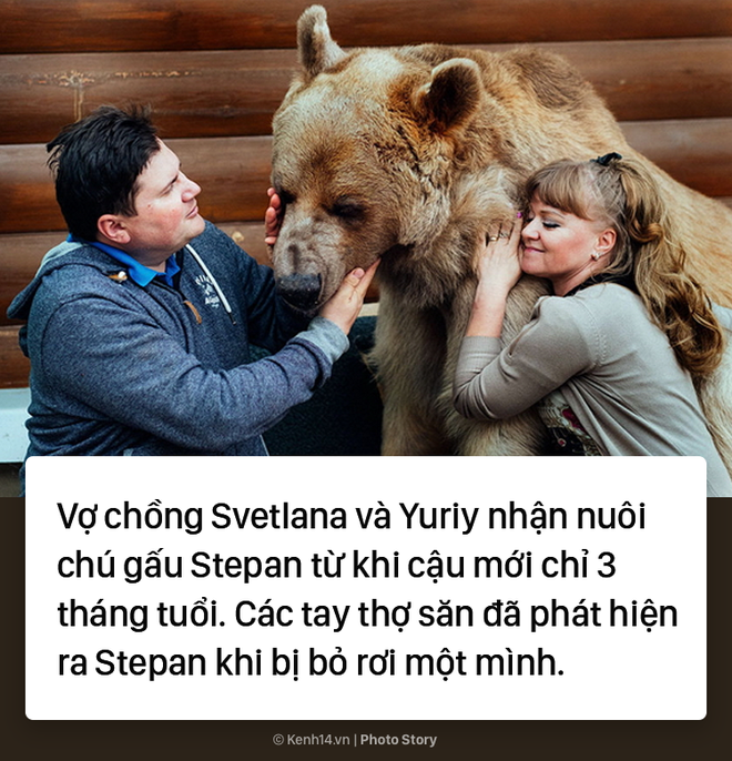 Chăm sóc như con ruột, cặp vợ chồng Nga đã chung sống với chú gấu mồ côi suốt 25 năm - Ảnh 1.