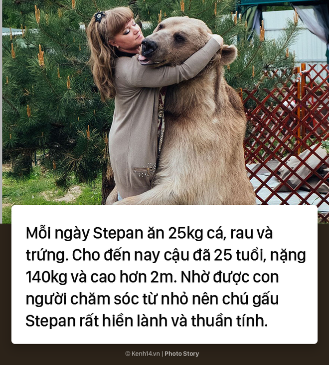 Chăm sóc như con ruột, cặp vợ chồng Nga đã chung sống với chú gấu mồ côi suốt 25 năm - Ảnh 3.