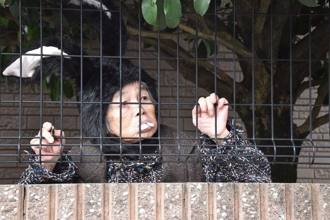 Cụ bà Nhật 90 tuổi tiếp tục chinh phục Internet bằng niềm vui sống mỗi ngày qua nhiếp ảnh - Ảnh 9.