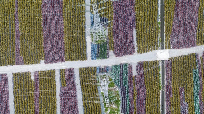 Choáng ngợp với những tấm ảnh chụp từ trên không các nghĩa địa xe đạp tại Trung Quốc - Ảnh 5.