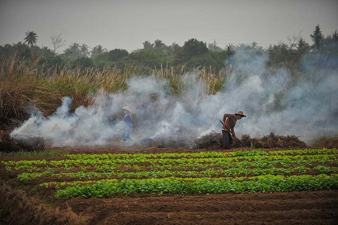 Trung Quốc: Lắp 4339 camera an ninh để ngăn chặn nông dân đốt rơm gây ô nhiễm môi trường - Ảnh 1.