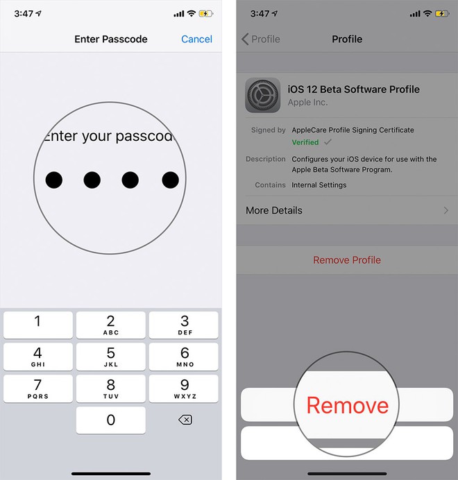 Hướng dẫn cách thoát chương trình iOS 12 Beta để chuyển sang dùng bản chính thức - Ảnh 3.