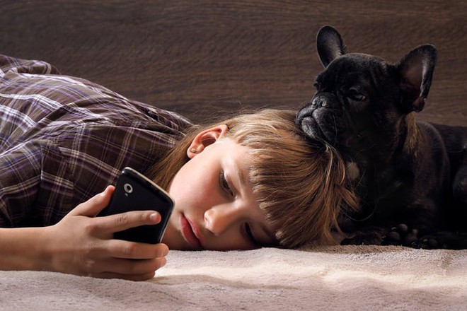 Chuyên gia cho biết, cún nhà bạn sẽ rất buồn nếu chủ của chúng suốt ngày dán mắt vào màn hình điện thoại - Ảnh 1.