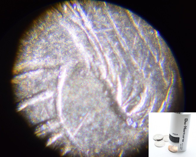  Mặt của đồng tiền xu qua góc quan sát của kính hiển vi Kenko. 