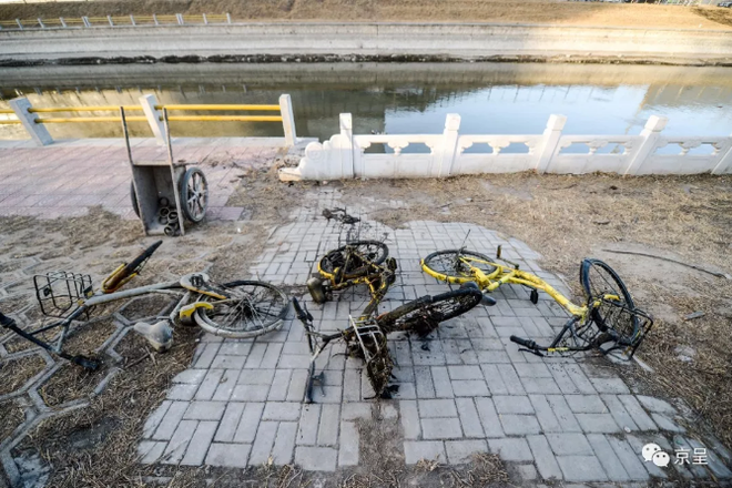 Trung Quốc: Tổng cộng hơn 1000 chiếc xe đạp chia sẻ được vớt dưới sông lên - Ảnh 7.