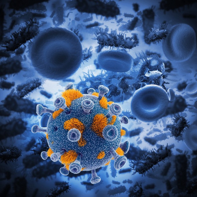  Những loại virus có khả năng điều trị ung thư được các nhà khoa học gọi chung là virus oncolytic 