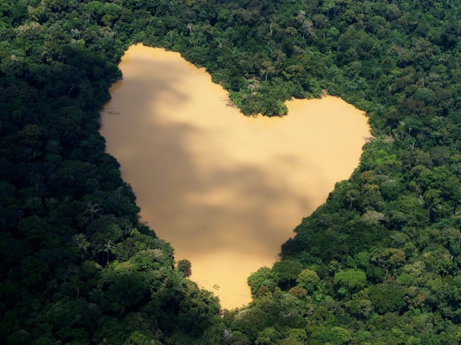  Rừng mưa nhiệt đới Amazon trải dài qua lãnh thổ vùng Tây Bắc Brazol, mở rộng sang Colombia và Peru cùng với các quốc gia Nam Mỹ khác. Trong ảnh: Một hồ nước tự nhiên hình trái tim được cấp nước bởi sông Amazon, khu vực gần Manaus (Brazil). 