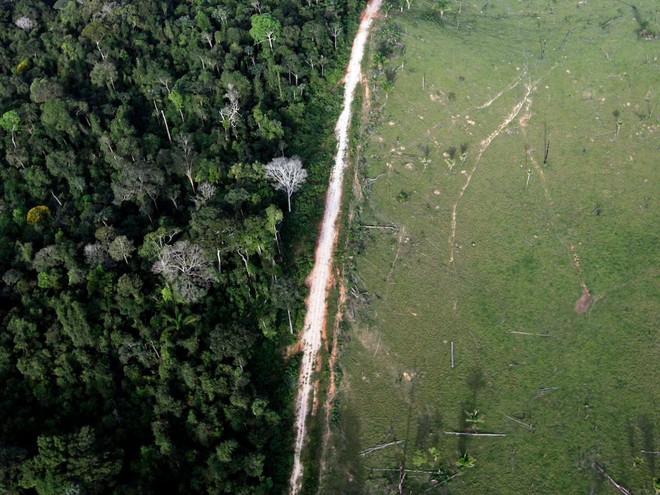  Hành động khai thác rừng ở Amazon hầu hết là phạm pháp. Trong ảnh: Một khu vực bị tàn phá gần công viên quốc gia Amazon ở Itaituba (Brazil). 