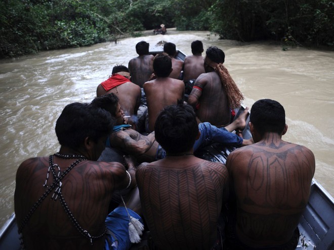  Không chỉ cảnh sát, mà những bộ lạc thổ dân cũng góp phần chống lại nạn đào vàng khiến môi trường Amazon bị ảnh hưởng nặng. Trong ảnh: những chiến binh thổ dân Munduruku Indian đang tuần tra dọc sông Das Tropas để đuổi những kẻ đào vào trái pháp ra khỏi lãnh địa. 