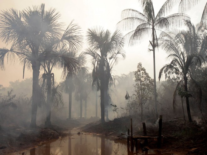  Đáng buồn thay, rừng Amazon bị ảnh hưởng rất nhiều bởi các hoạt động của con người trong những năm qua. Trong 50 năm trở lại, 17% diện tích rừng đã biến mất. Trong ảnh: Đám cháy trong rừng Amazon gần thành phố Madaquiri của Brazil. 