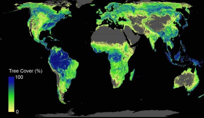 Lần đầu tiên xuất hiện báo cáo khoa học hướng dẫn cần bao nhiêu đất, trồng bao nhiêu cây thì đủ để cứu lấy Trái Đất - Ảnh 2.