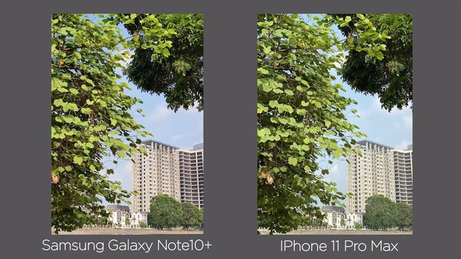 Thêm bài so camera giữa Galaxy Note10 và iPhone 11 Pro Max ở nhiều điều kiện khác nhau - Ảnh 3.