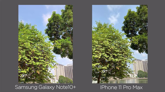 Thêm bài so camera giữa Galaxy Note10 và iPhone 11 Pro Max ở nhiều điều kiện khác nhau - Ảnh 4.