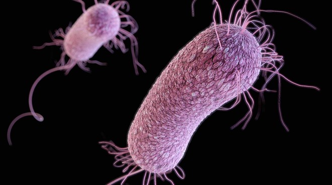 Nghiên cứu cho thấy vi khuẩn chỉ mất ba tuần để kháng được loại kháng sinh mạnh nhất - Ảnh 1.