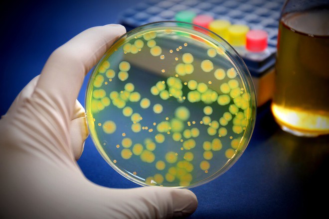 Nghiên cứu cho thấy vi khuẩn chỉ mất ba tuần để kháng được loại kháng sinh mạnh nhất - Ảnh 2.