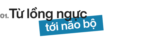 Một ngày thần chết sẽ nghỉ hưu: Con người đang định nghĩa lại cái chết và tìm cách đảo ngược nó - Ảnh 2.