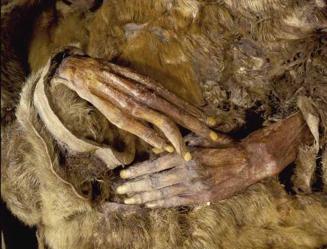 Phát hiện xác ướp em bé 6 tháng tuổi còn nguyên vẹn sau hơn 500 năm bị đóng băng - Ảnh 2.