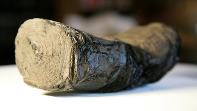 Đi tìm bí ẩn bên trong cuộn giấy cổ bị núi lửa thiêu đốt thành than cách đây 2000 năm - Ảnh 1.