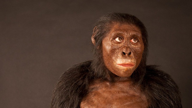 Sau 3 triệu năm, cuối cùng loài vượn hiện đại đã thông minh hơn tổ tiên con người trong quá khứ - Ảnh 1.