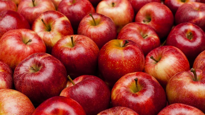 100 năm lời nguyền táo đỏ: Con người đã ép những quả táo phải đỏ, ngày càng phải đỏ - Ảnh 1.