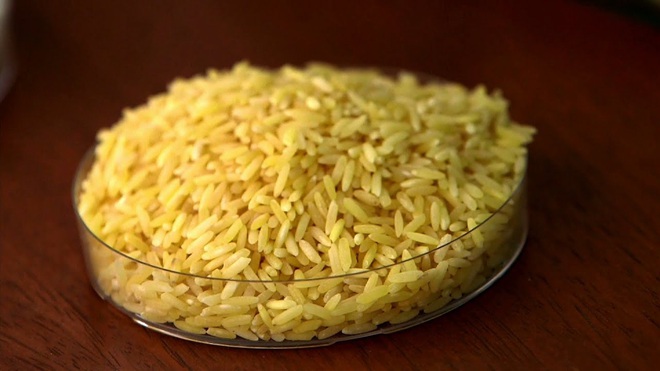 Bangladesh sắp trở thành quốc gia đầu tiên cho phép trồng gạo vàng biến đổi gen - Ảnh 2.