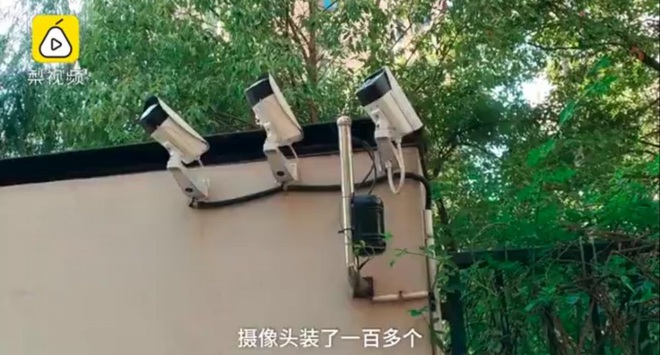 Quyết tìm ra kẻ hay ném rác từ lầu cao, chung cư này lắp ngay 127 camera giám sát - Ảnh 2.