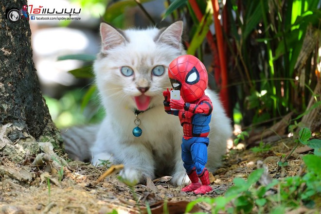 Cưng muốn xỉu với bộ ảnh chuyến phiêu lưu của boss mèo và sen Spider-Man - Ảnh 21.