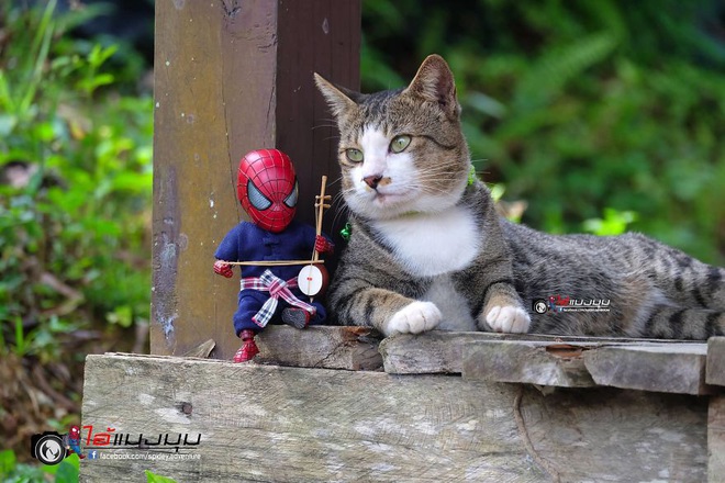Cưng muốn xỉu với bộ ảnh chuyến phiêu lưu của boss mèo và sen Spider-Man - Ảnh 27.