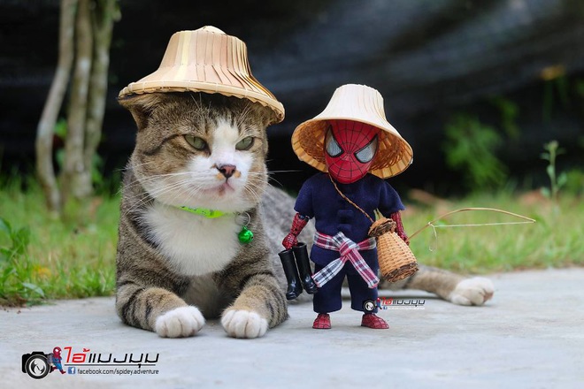 Cưng muốn xỉu với bộ ảnh chuyến phiêu lưu của boss mèo và sen Spider-Man - Ảnh 30.