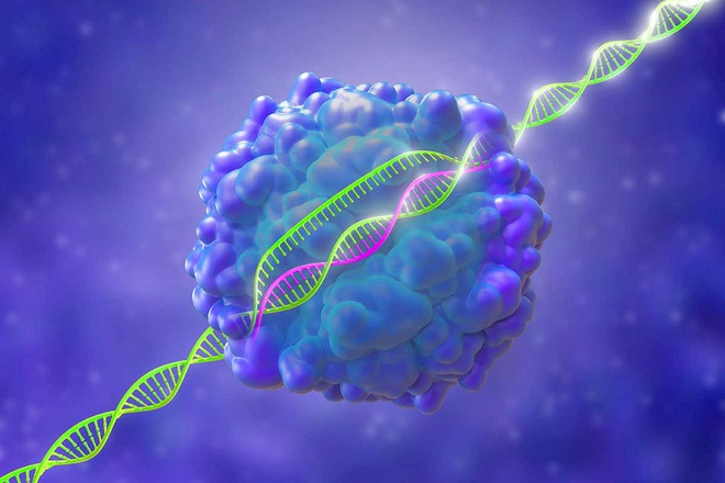 Lần đầu tiên, ba bệnh nhân ung thư ở Mỹ được điều trị bằng kỹ thuật chỉnh sửa gen CRISPR - Ảnh 3.