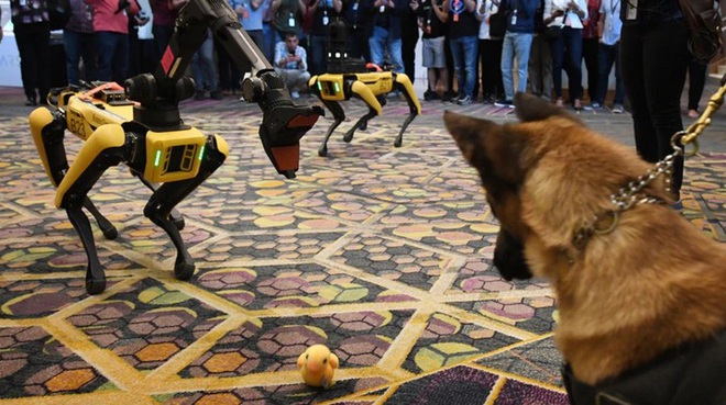 Chó robot của Boston Dynamics lần đầu tham gia vào biệt đội phá bom của cảnh sát Mỹ - Ảnh 1.