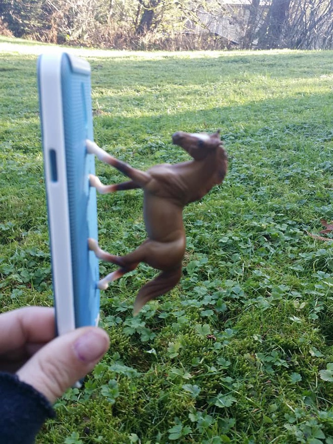 Internet cười bò với chùm ảnh của cô nàng dán con ngựa đồ chơi vào ốp lưng điện thoại nhưng lại che mất camera sau - Ảnh 3.