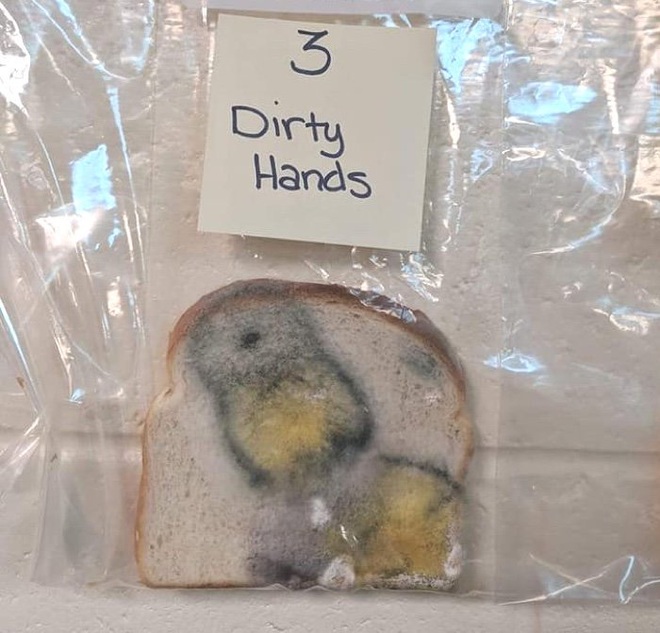 Thí nghiệm đơn giản với bánh mì tiết lộ tầm quan trọng của việc rửa tay trước khi ăn - Ảnh 5.