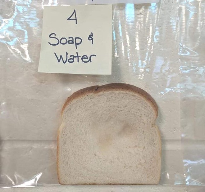 Thí nghiệm đơn giản với bánh mì tiết lộ tầm quan trọng của việc rửa tay trước khi ăn - Ảnh 4.