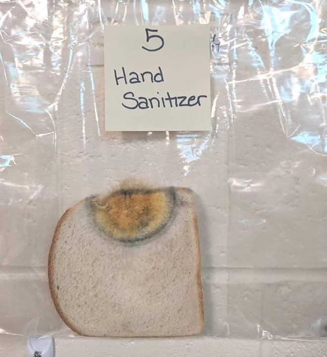 Thí nghiệm đơn giản với bánh mì tiết lộ tầm quan trọng của việc rửa tay trước khi ăn - Ảnh 6.