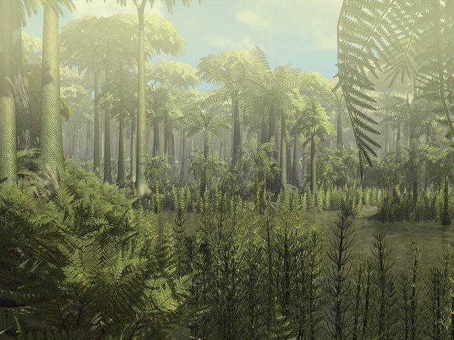 Các nhà khoa học phát hiện khu rừng cổ đại lâu đời nhất trong lịch sử Trái Đất, cách chúng ta 385 triệu năm - Ảnh 2.