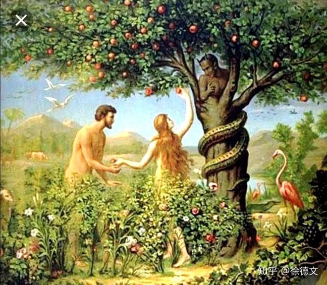 Nếu câu chuyện về Adam và Eva là sự thật, phải mất bao nhiêu năm để hành tinh này đạt được 7,5 tỷ người? - Ảnh 1.