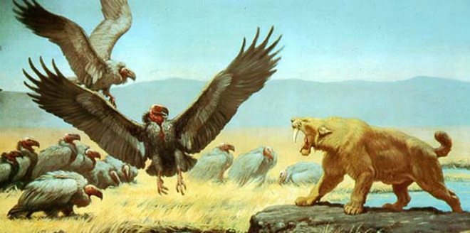 Loài người thật may mắn vì những loài chim ăn thịt khổng lồ này đã tuyệt chủng - Ảnh 5.